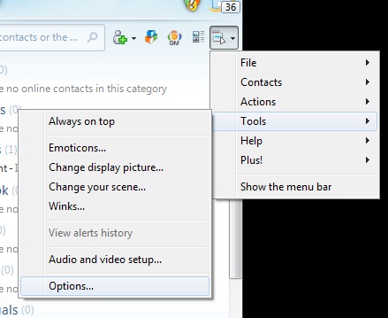 msn live messenger history option